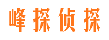 淳化市婚外情调查